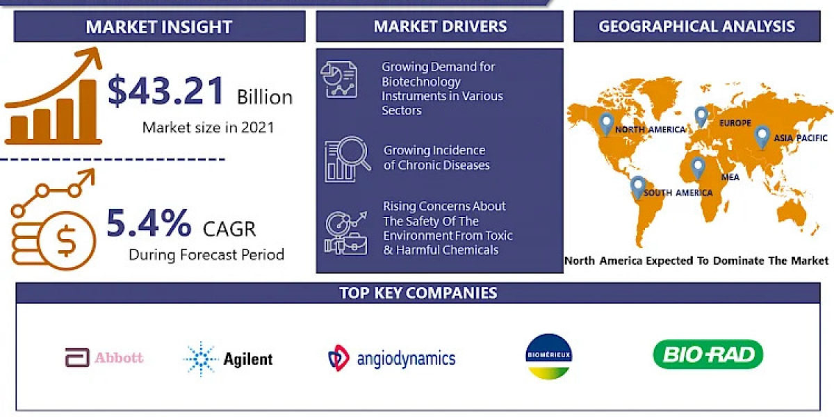 Technological Breakthroughs Shaping the Future of the Biotechnology Instruments Market