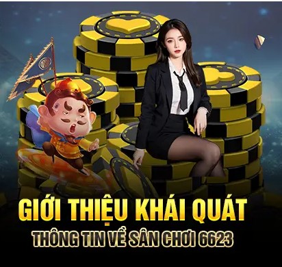 Sảnh Cược Thể Thao 6623 - Nơi Mà Dân Chơi Không Thể Bỏ Lỡ