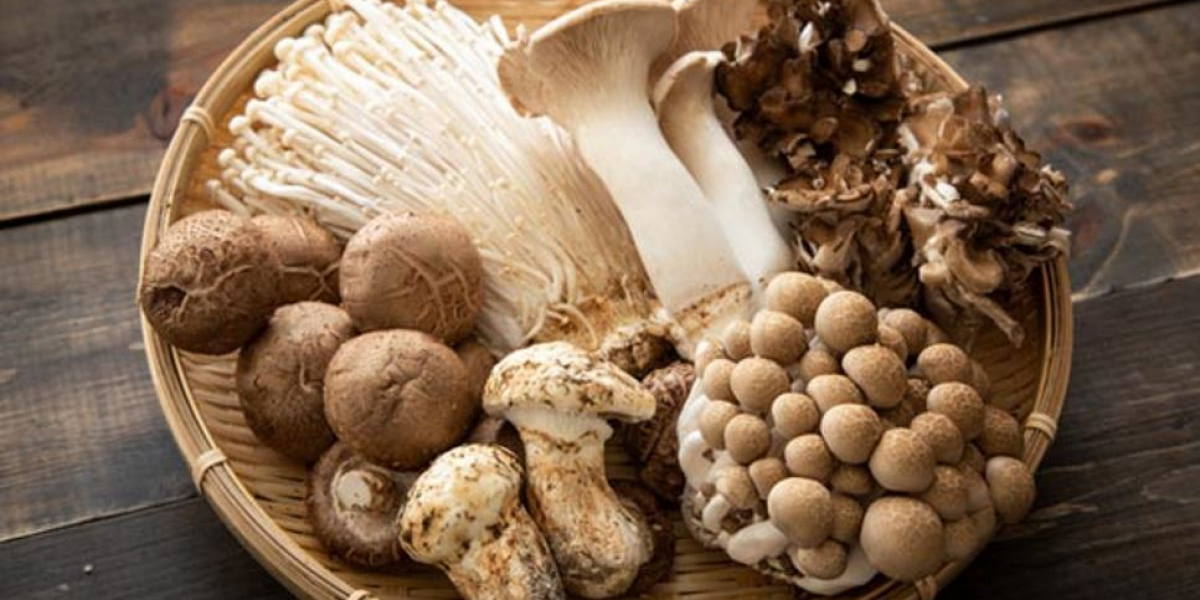 Mushroom Market Industry Experiences Growth with Rising Consumer Interest in Fresh and Organic Produce