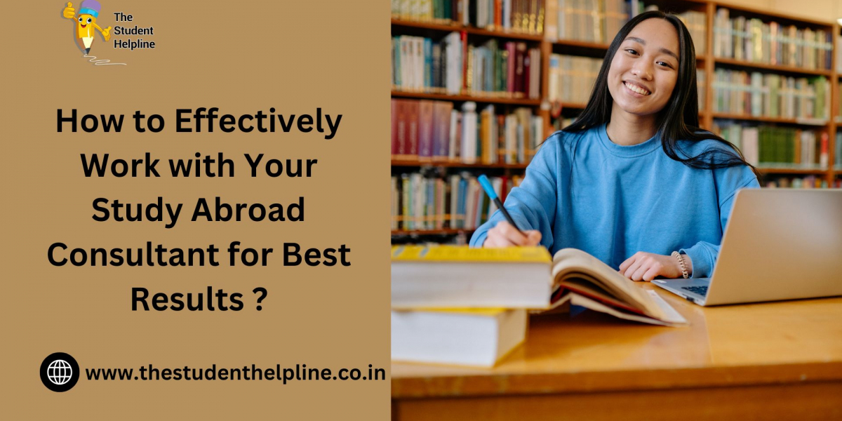 How to Effectively Work with Your Study Abroad Consultant for Best Results ?