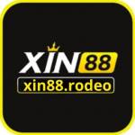 xin88 rodeo