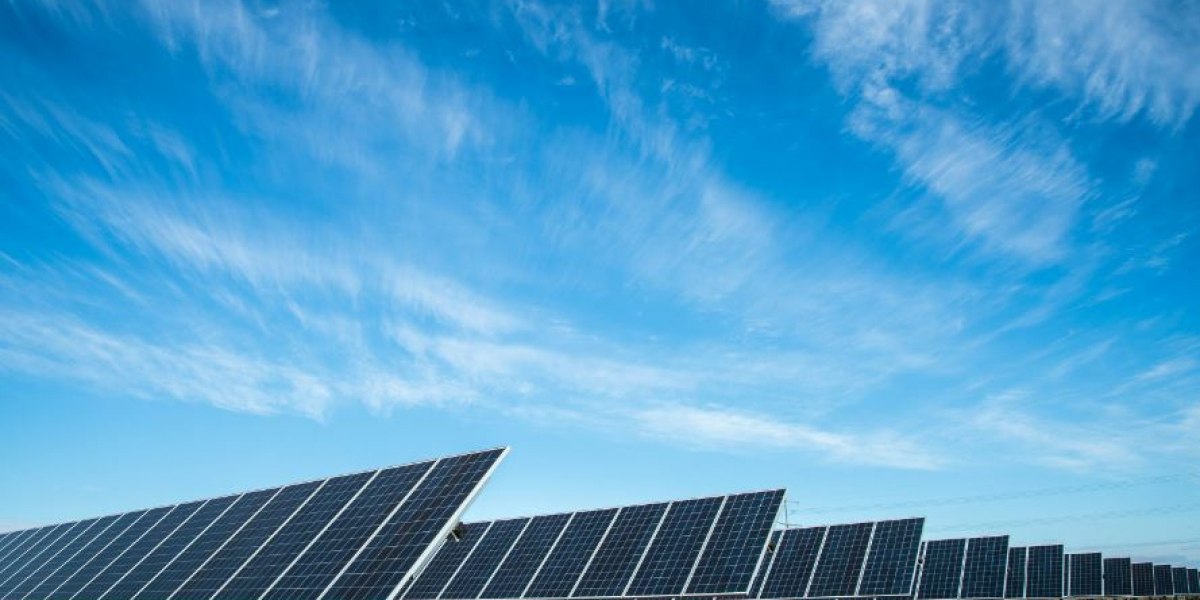 The Growing Demand for Solar Power: Finding Reliable Solar Plant Providers Near You