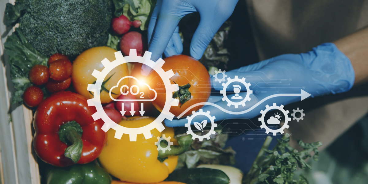 Food Certification Market 2023: Global Forecast to 2032