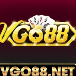 vgo88 net