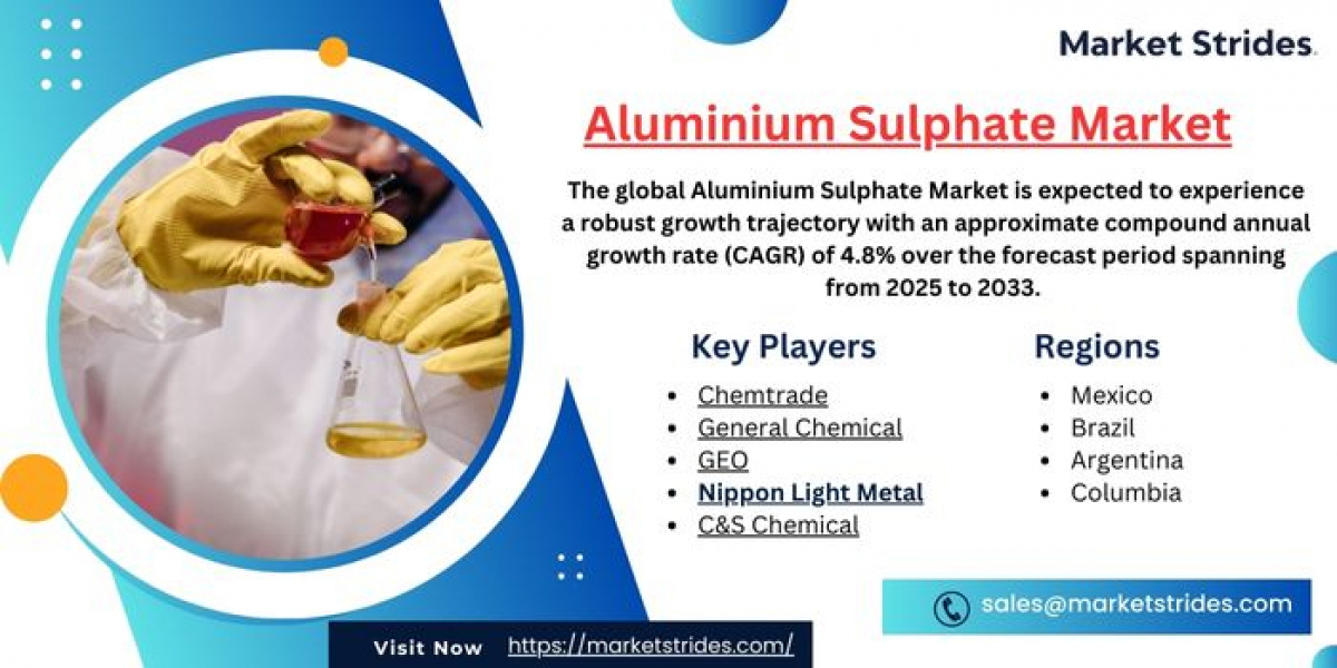 Growth Opportunities in the Aluminium Sulphate Market: Forecast to 2033