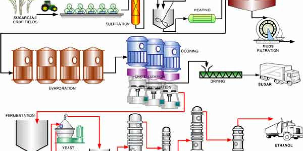 Renewable Ethanol Market Size, Demand And Future Scope Report 2033