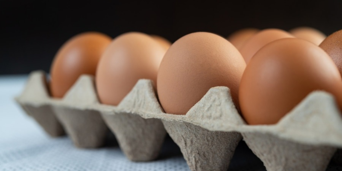 Project Report on Requirements and Cost for Setting up a Egg Tray Manufacturing Plant