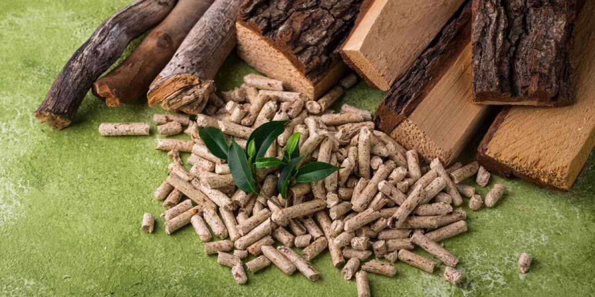 Biomass Briquettes Market Outlook 2023-2033: Driving Renewable Energy Adoption