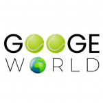 Googe World