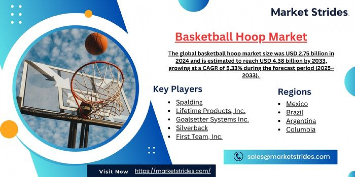 Basketball Hoop Market Insights and Forecast 2025-2033: Key Drivers and Trends