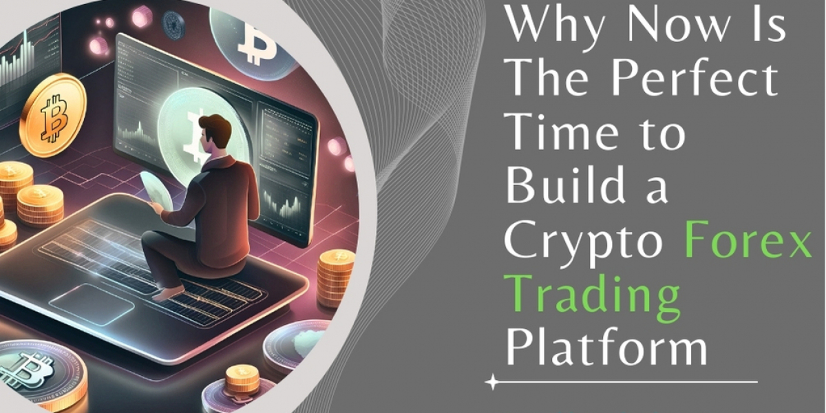 Why Now Is the Perfect Time to Build a Crypto Forex Trading Platform?