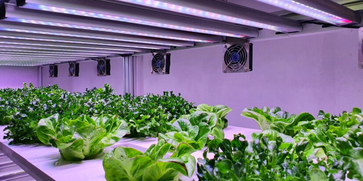 The Future of Farming: UK Vertical Farming Market Trends and Forecasts to 2033