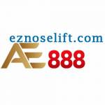 AE888 eznoselift