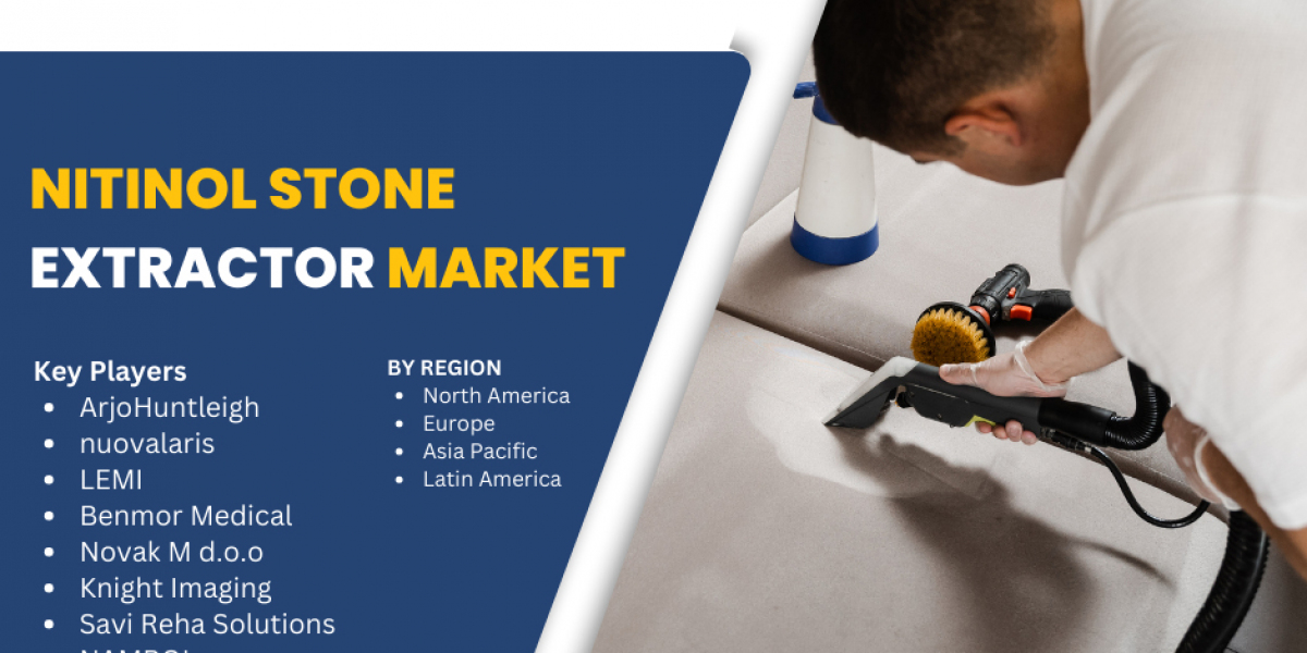 Nitinol Stone Extractor Market Analysis 2025-2033: Demand, Innovation, and Competitive Landscape