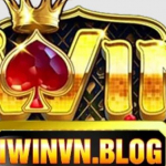 IWINvn blog