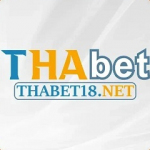 THABET18 net