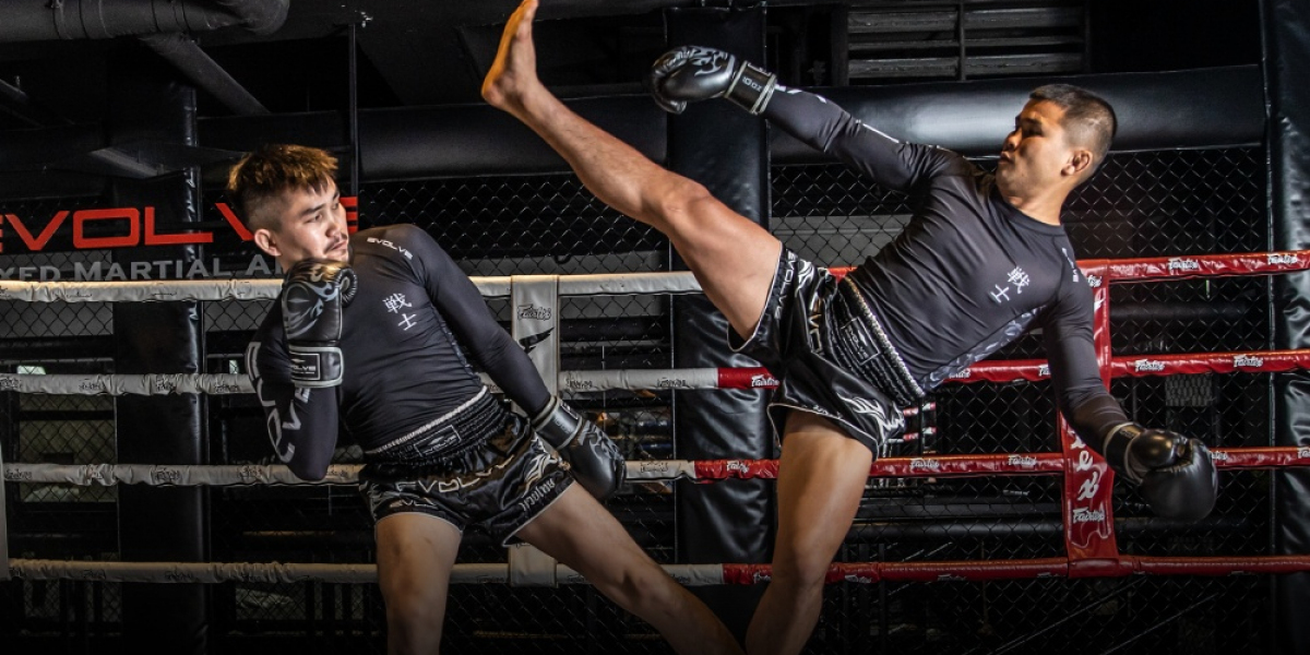 Martial Arts for Life: Kickboxing, Boxing, and MMA Training by Experts