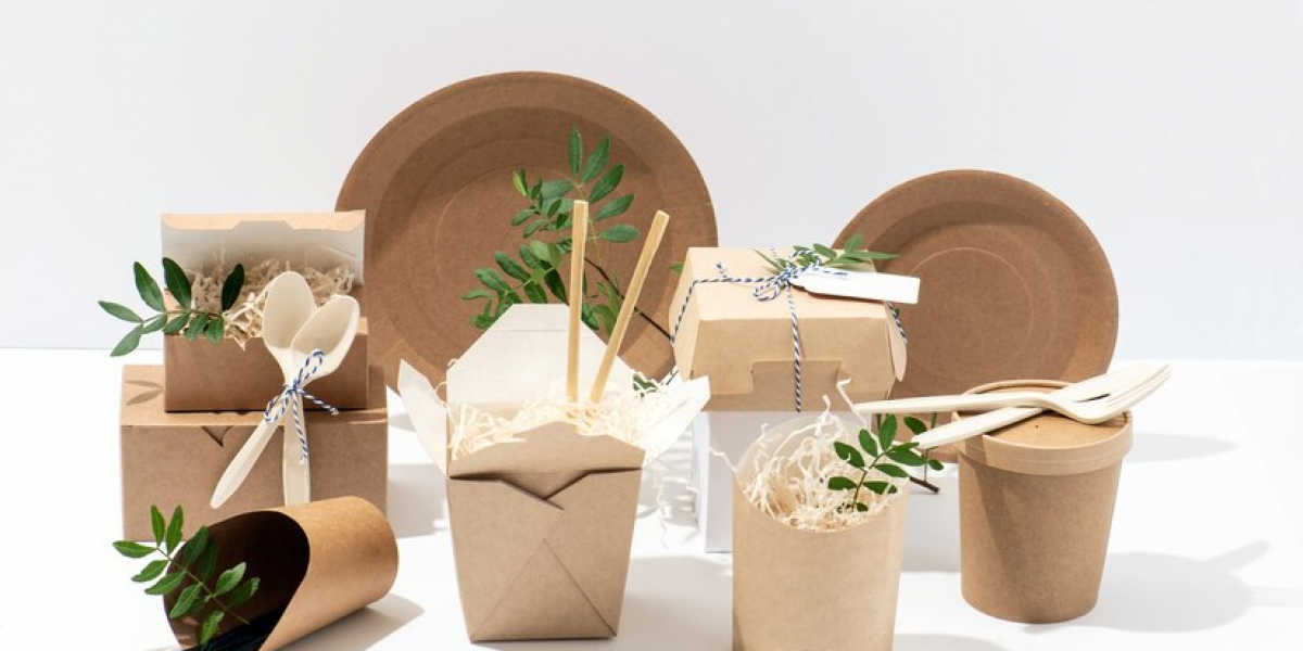 Comprehensive Analysis of the Global Sustainable Packaging Market