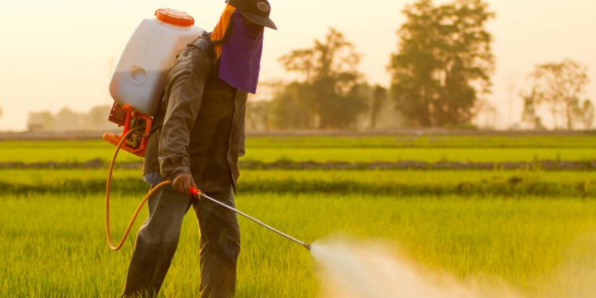 United States Herbicide Market: Key Drivers and Opportunities