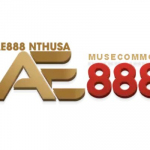 AE888 NTHUSA