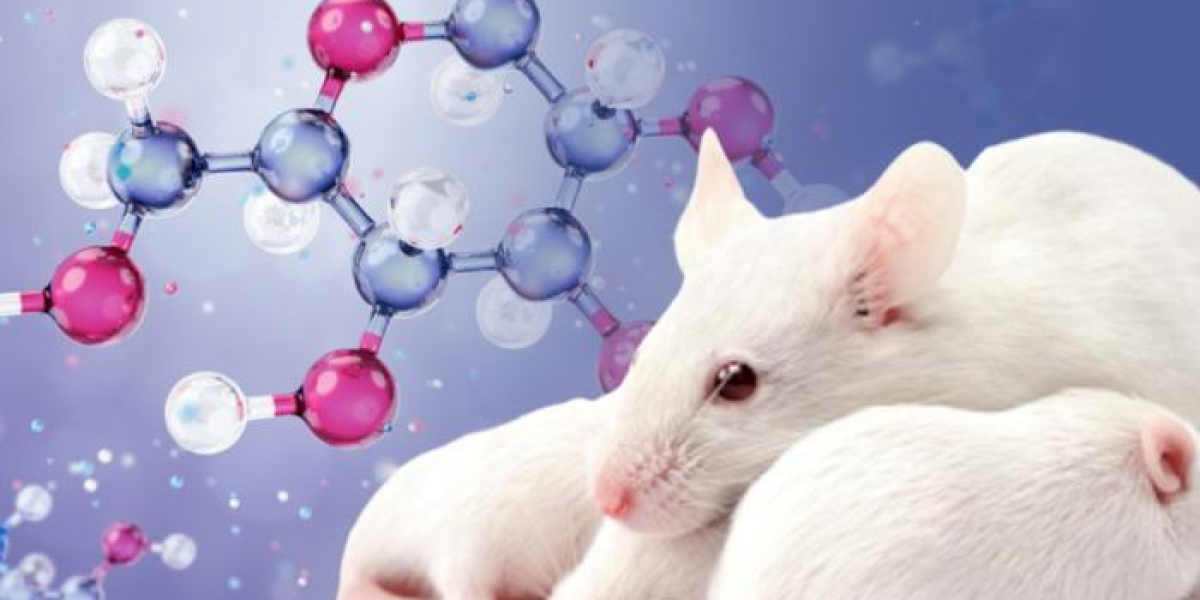 Animal Model Market Grows Amid Rising Demand for Preclinical Research in Drug Development