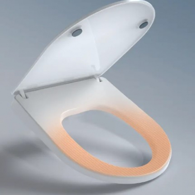 Dual Nozzle Heated Bidet Toilet Seat Profile Picture