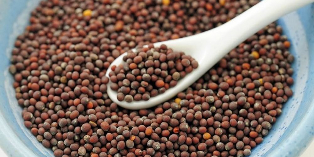 Setting Up a Successful Mustard Seed Processing Plant Setup Report 2024: Business Plan