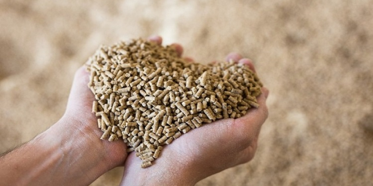 Nutritional Ingredients in Animal Feed Market: Rising Need for Health-Focused Products