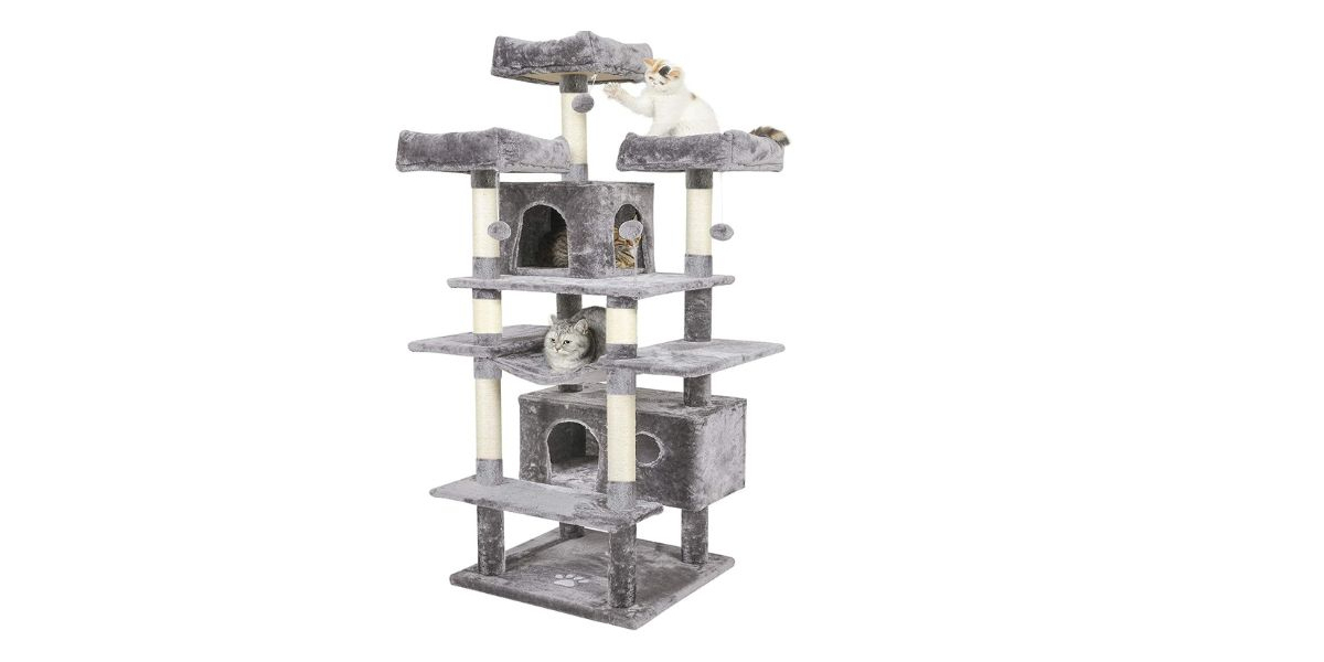 Creating a Safe Haven: Why Large Cats Need Special Cat Trees