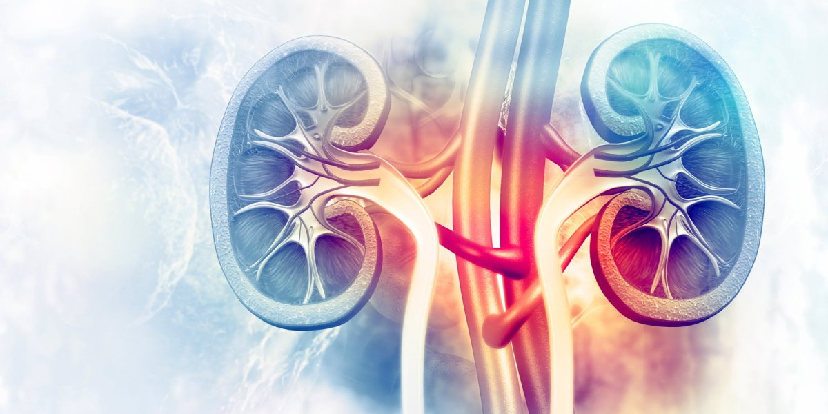 Innovative Drug Development Boosts Kidney /renal fibrosis Treatment Market Expansion