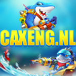 CAXENG nl