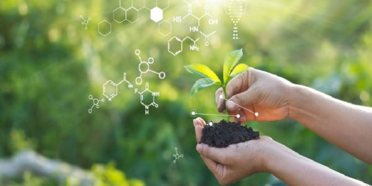 Humic-based Bio Stimulants Market: Organic Products Driving Market Expansion