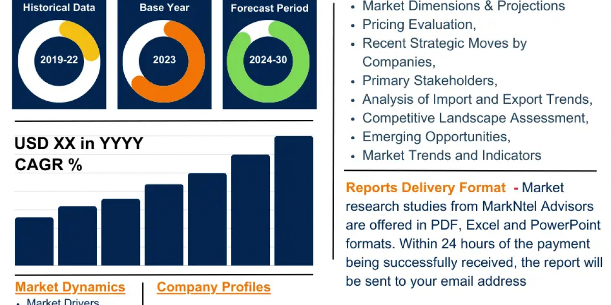 Belgium Agrivoltaic Market Share, Size, Analysis, Trends, Growth, Report and Forecast 2030