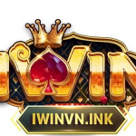 IWINvn ink