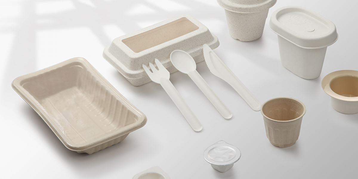 What Makes Bagasse a Sustainable Alternative to Plastic?