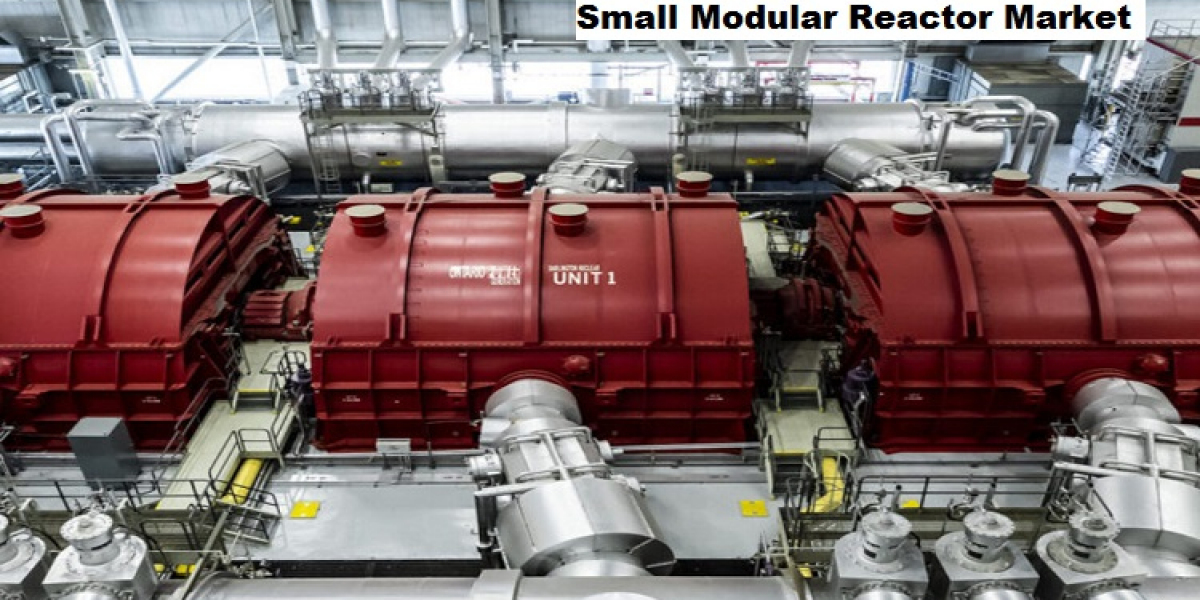 Small Modular Reactor Market Growth Supported by Sustainability and Resilience