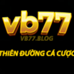 VB77 blog