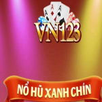 VN123