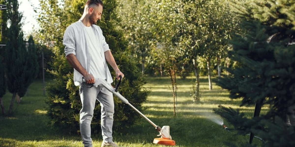 How Do Lawn Care and Landscaping Services Save You Time and Money?