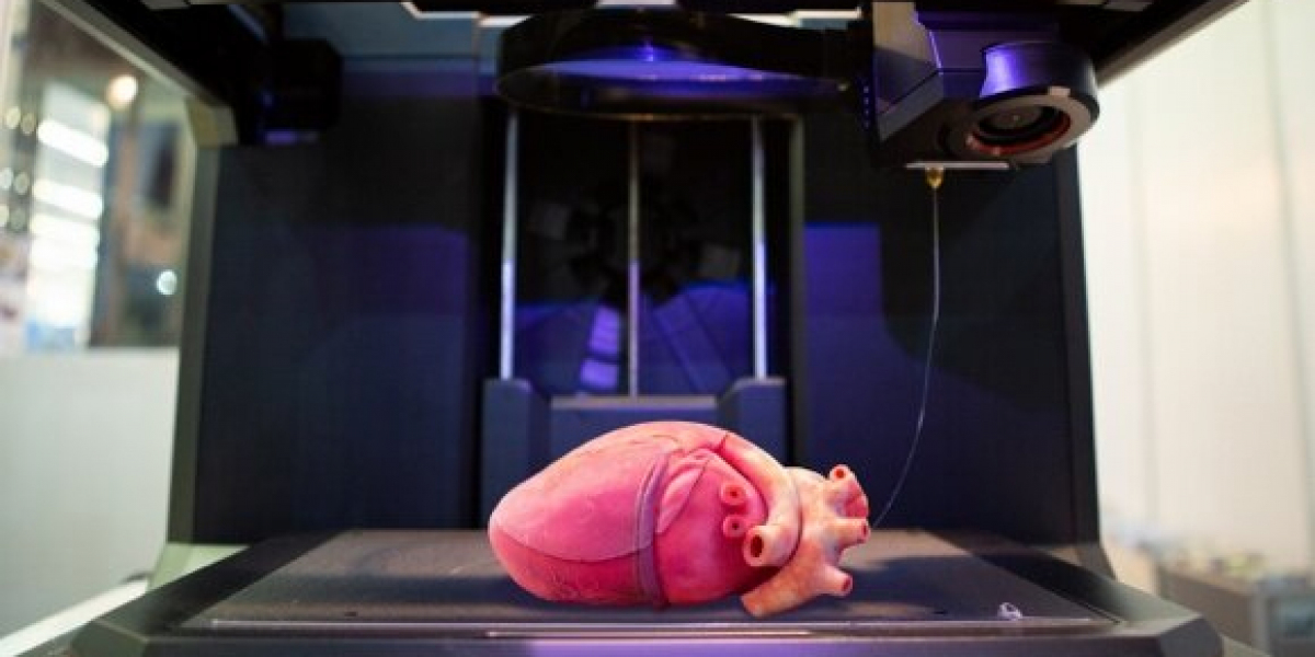 3D Bioprinting Market Size, Growth & Industry Analysis Report, 2032