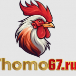 THOMO67 run