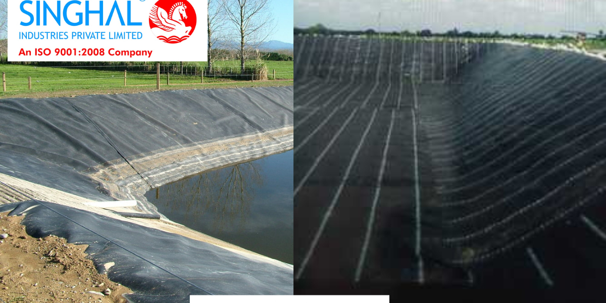 Geomembrane Sheets: A Vital Component in Modern Engineering Solutions