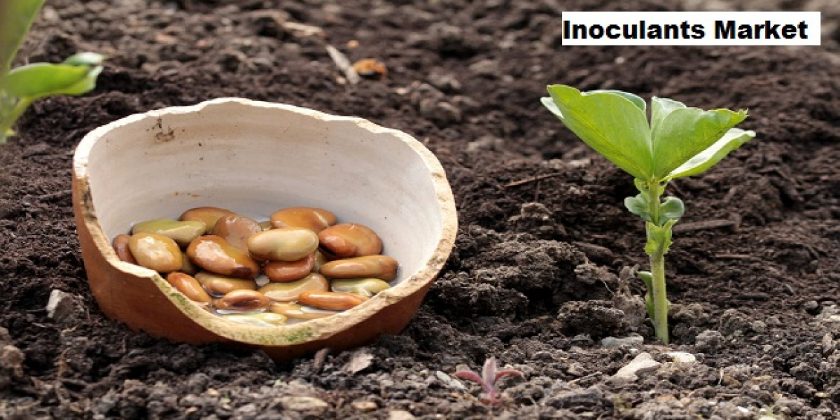 Inoculants Market: Sustainability and Organic Practices Fuel Market Expansion