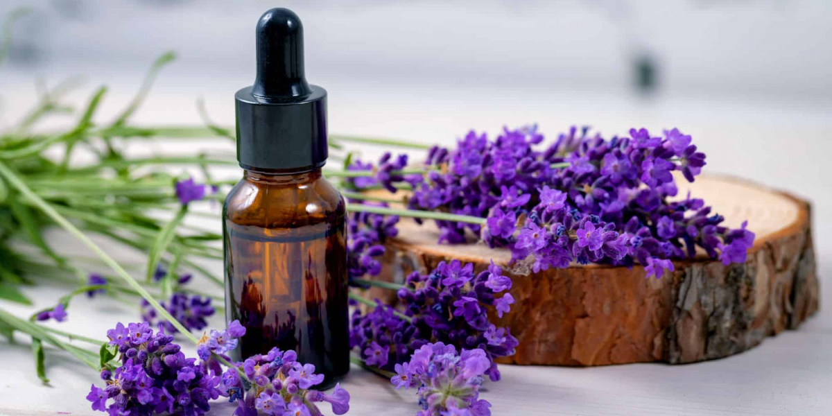 Essential Oil Market Size Grows as Incorporation into Beauty and Personal Care Products Increases