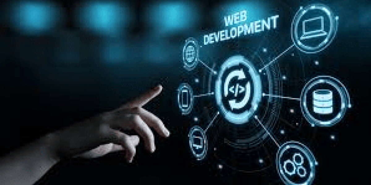 Why You Should Choose a Professional Web Development Company