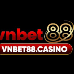 Vnbet88 casino