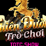 TDTC show