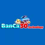 Banca30 Agency