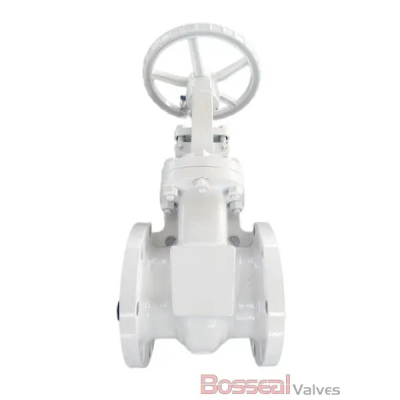 Bolted Bonnet Gate Valve Profile Picture