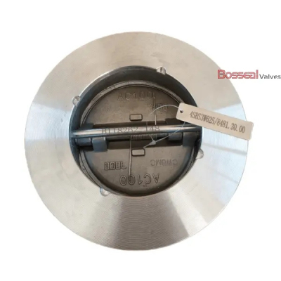 Spring Loaded Dual Check Valve Profile Picture